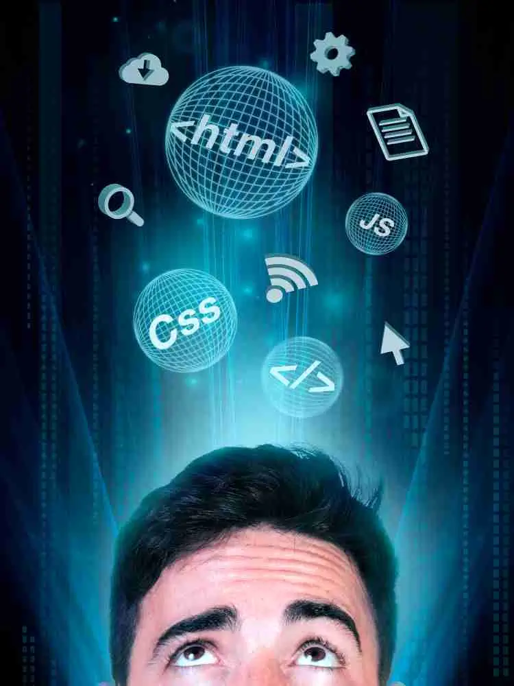 cms development vs custom web development